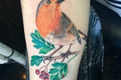 Robin. Inkhaus Tattoo.
