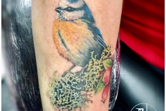 Blue Tit. Inkhaus Tattoo.