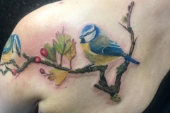 Blue Tits. Inkhaus Tattoo.