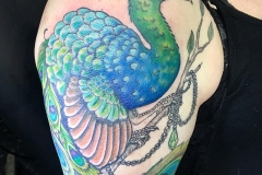 Stylised Peacock. Inkhaus Tattoo.