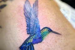 Hummingbird. Inkhaus Tattoo.