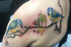 Blue Tits. Inkhaus Tattoo.