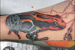 Poison Arrow Frog. Inkhaus Tattoo.