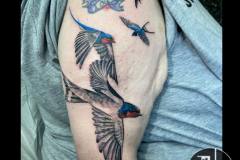 Swallows. Inkhaus Tattoo.