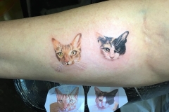 Tiny Cat Portraits. Inkhaus Tattoo.