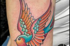 Neo Traditional Swallow. Inkhaus Tattoo.
