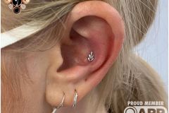 Conch piercing w/ Junipurr white gold fern.