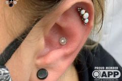Conch piercing w/ BVLA white gold Afghan.
