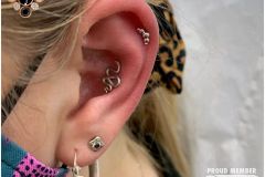 Conch piercing w/ Anatometal white gold snake.