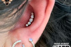 Conch piercing w/ Industrial Strength Prium cluster.