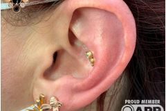 Conch piercing w/ Anatometal yellow gold gem cluster.