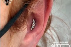Conch piercing w/ Industrial Strength Prium cluster.