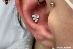 Conch piercing w/ Industrial Strength cluster.