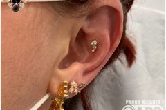 Conch piercing w/ Anatometal yellow gold gem cluster.