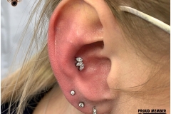 Conch piercing with Industrial Strength Swarovski Marquise Cluster.