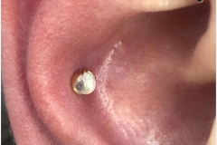 Conch Piercing w/ Anatometal Rainbow Moonstone in 18k Rose Gold.