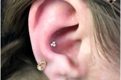 Conch Piercing w/ Anatometal 18k Rose Gold Trio Cluster.