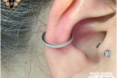 HEALED Conch Piercing w/14k White Gold Hinged Segment Ring.