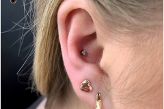 Conch w/ NeoMetal Clear CZ.