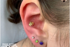 Curated Ear. Inkhaus Tattoo.
