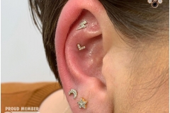 Curated Ear. Inkhaus Tattoo.