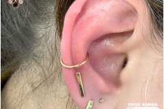Curated Ear. Inkhaus Tattoo.