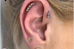 Curated Ear. Inkhaus Tattoo.