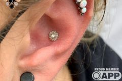 Curated Ear. Inkhaus Tattoo.