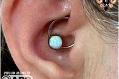 Daith piercing w/ industrial strength CBR.
