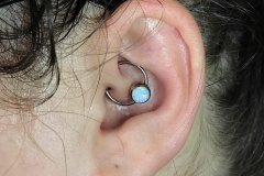 Daith with Industrial Strength CBR. Inkhaus Tattoo.