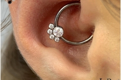 Daith Piercing with LeRoi CBR. Inkhaus Tattoo.