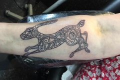 Celtic Hare. Inkhaus Tattoo.