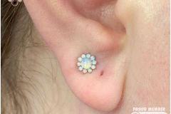 Upper Ear Lobe w/ Auris. Inkhaus Tattoo.