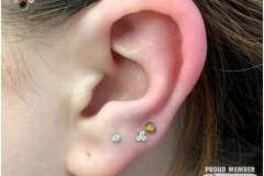 Healed Upper Lobes. Inkhaus Tattoo.