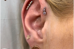 Forward Helix w/ Anatometal Cluster.
