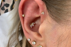 Forward Helix w/ Anatometal Cluster.