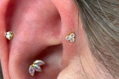 Forward Helix w/ Anatometal Cluster.