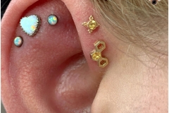 HEALED Double Forward Helix w/ BVLA.