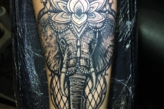 Greyscale elephant with fishnet and jewel.