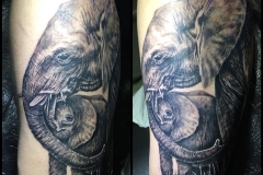 Greyscale Elephants. Inkhaus Tattoo.