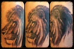 Greyscale Lion. Inkhaus Tattoo.