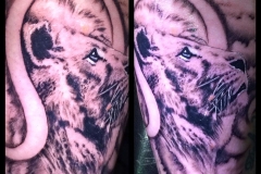 Lion and Zodiac Symbol. Inkhaus Tattoo.