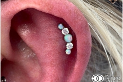 Flat Piercing w/ Industrial Strength Prium Cluster. Inkhaus Tattoo.