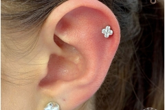 Helix w/ Industrial Strength North Star Cluster. Inkhaus Tattoo.