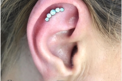 Flat w/ Industrial Strength Prium Cluster. Inkhaus Tattoo.