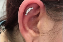 Flat w/ Industrial Strength Prium Cluster. Inkhaus Tattoo.