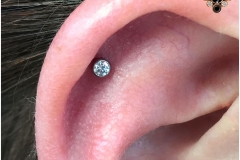 Flat w/ NeoMetal CZ. Inkhaus Tattoo.