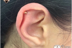 Helix w/ LeRoi Gold. Inkhaus Tattoo.