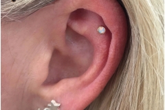 Flat w/ Anatometal. Inkhaus Tattoo.