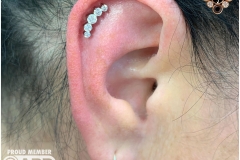 Helix w/ Industrial Strength Prium Cluster. Inkhaus Tattoo.